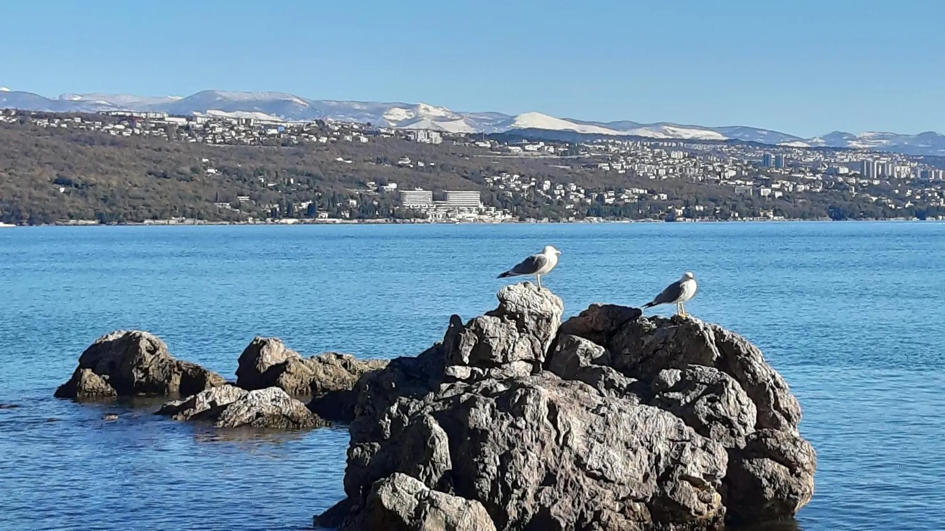 Apartman Dora Opatija Croatia